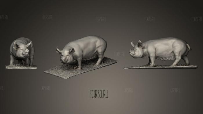 Some Pig stl model for CNC